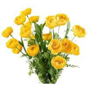 Yellow Faux Ranunculus Buttercup Two Bushy Stems*